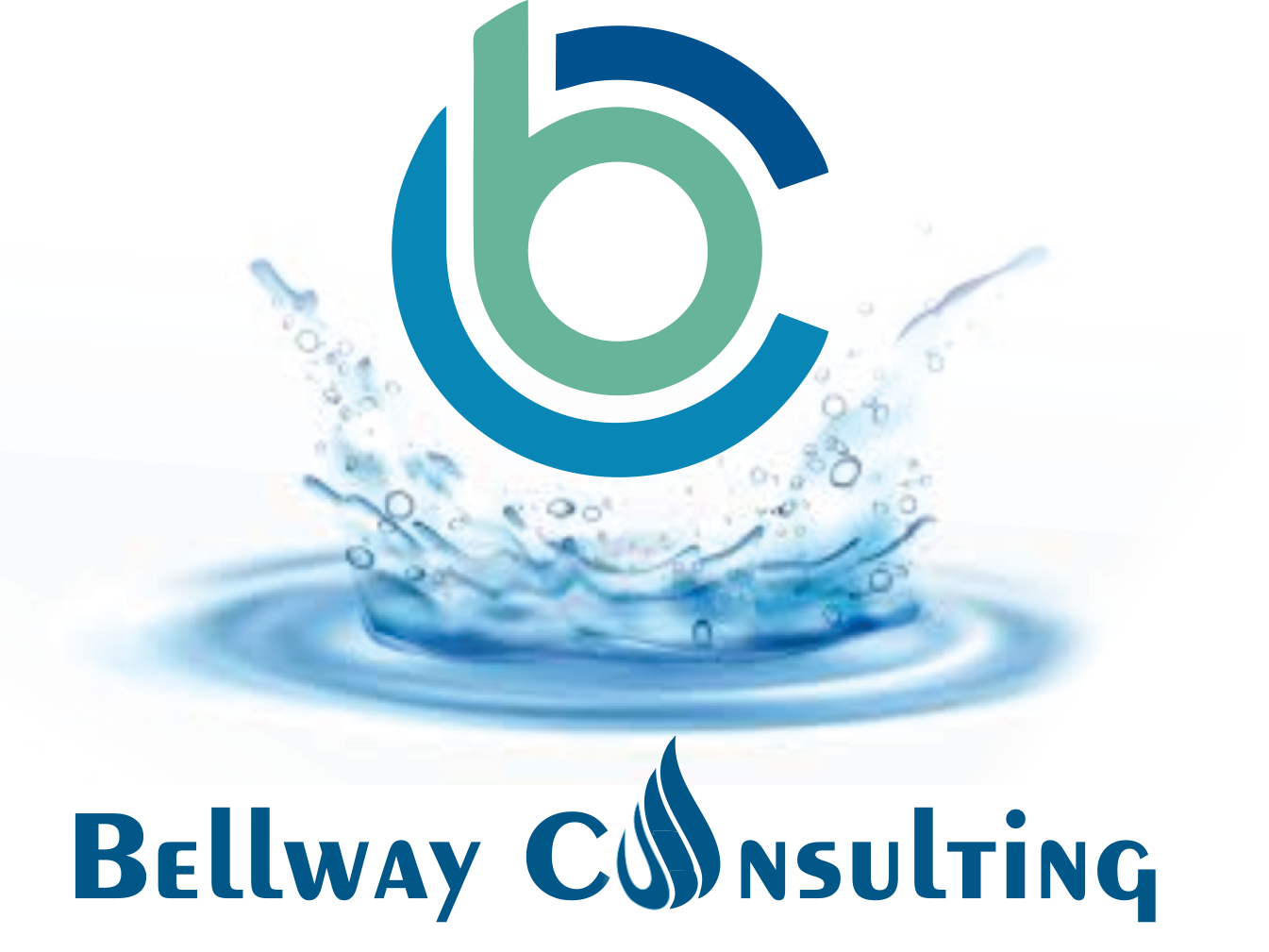 bellwayconsulting.com